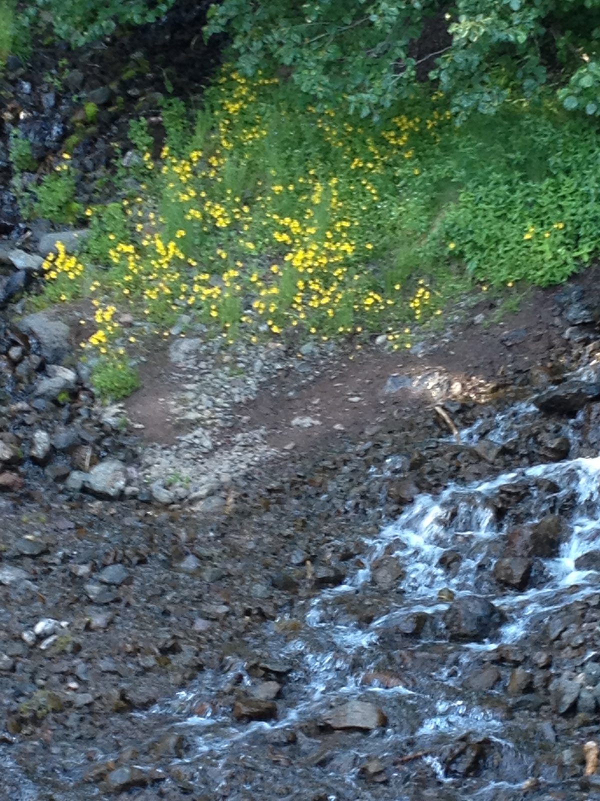 ...  while others took pretty pictures.